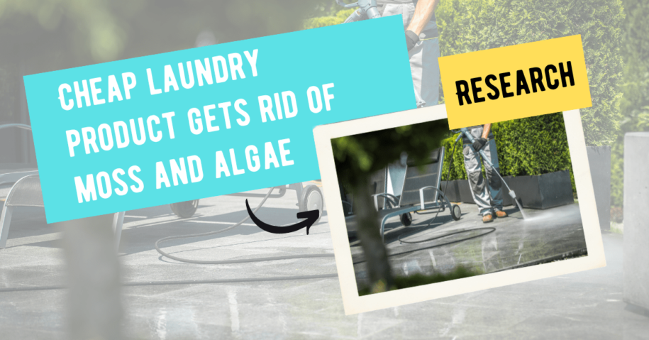 <strong>Cheap laundry product gets rid of moss and algae from paving</strong>