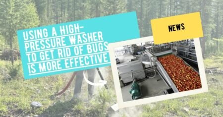 Using a High-Pressure Washer to Get Rid of Bugs is More Effective Than What is Required By New Zealand’s Ministry of Primary Industries for Export.